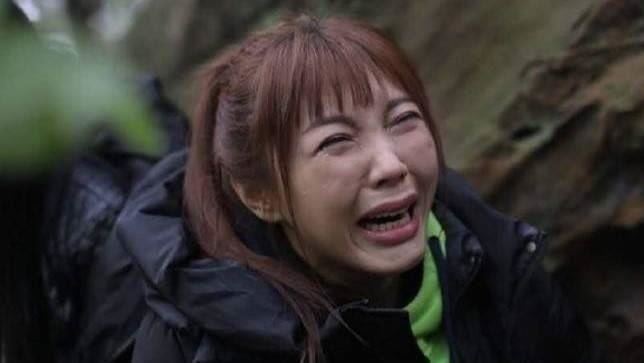 劉樂妍評論中國旱廁。(圖/翻攝自微博)