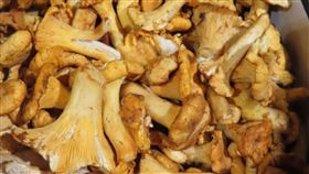 ▲聯馥食品自羅馬尼亞進口「新鮮黃蘑菇」檢出原子塵或放射能不符規定。（圖／食藥署提供）