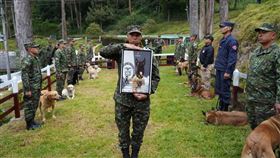英勇警犬桑松不幸殉職，領犬員抱著牠的遺照，為其舉行隆重告別式。（圖／翻攝自X @Ingenieros_EJC）