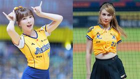 林可與短今皆是中信PS女孩人氣啦啦隊員。（組合圖／翻攝自短今、林可 IG）