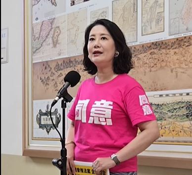 民進黨立法院黨團幹事長吳思瑤今（23）日表示，國民黨立委徐巧芯、王鴻薇是惡中之惡，因此在最後關鍵時刻重兵集結台北。（圖／翻攝畫面)