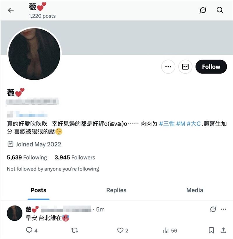 「薇薇」自介相當煽情。（圖／翻攝自X）