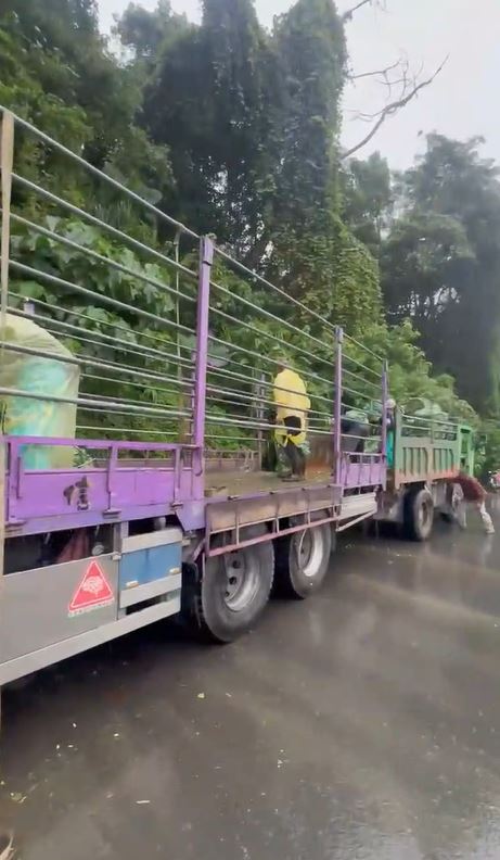 搬運工人搶時間運送高麗菜下山,礙於力行產業道路經常發生土石坍方,過程必須十分警戒。(圖/翻攝畫面)