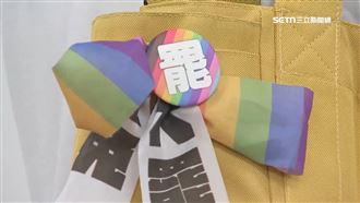 立院戒嚴?警衛要求訪客拆「大罷免飄帶」