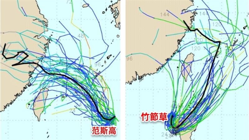 竹節草倒勾恐牽引范斯高!專家憂曝路徑