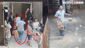 航空公司,星宇,婚宴蟑螂(讀者授權提供)