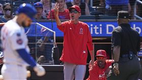 ▲天使代班主帥蒙哥馬利（Ray Montgomery）。（圖／美聯社／達志影像）