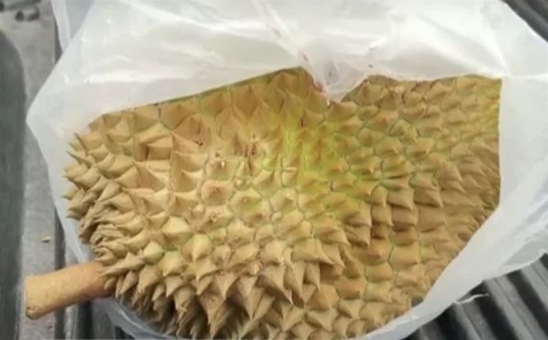 男騎士臉部被榴槤殼上的刺扎出密密麻麻的傷口。(圖/翻攝自記者爆料網)