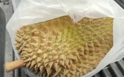 中國出狠招拒認報告！這國榴槤慘遭卡關