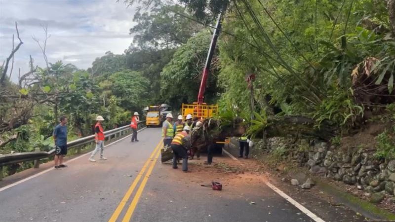北宜公路突然發生路樹倒塌事件,導致人車無法安全通行。(圖/翻攝畫面)