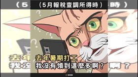 學生暑假打工爆課稅陷阱！打工族被虛報薪資　官方教5招防被坑（圖／財政部提供）