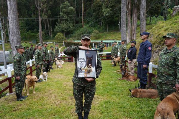 其他偵爆隊的狗狗們、領犬員在都前往參加喪禮。（圖／翻攝自X @Ingenieros_EJC）