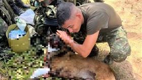 偵爆犬犧牲炸斷腿「救下36士兵」爬回離世