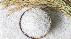 ▲稻米。（圖／翻攝Pixbay)