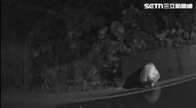 失智,兒子,老父,尋子,台中,暗夜,雨衣怪客（圖／翻攝畫面）