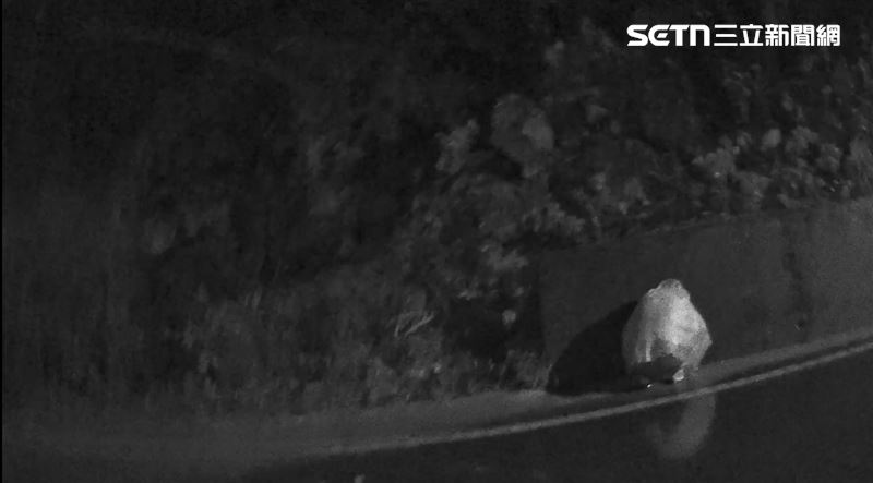 台中北屯山區深夜驚見雨衣怪客蹲路邊,路過民眾嚇壞報警。(圖/翻攝畫面)
