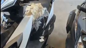 機車坐墊被流浪狗破壞的情形。（圖／翻攝畫面）