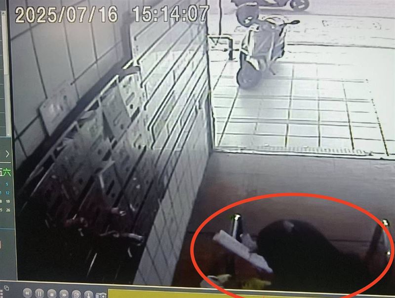 不名女子潛進大樓偷取投票通知單後丟棄。(圖/翻攝自余信憲臉書)