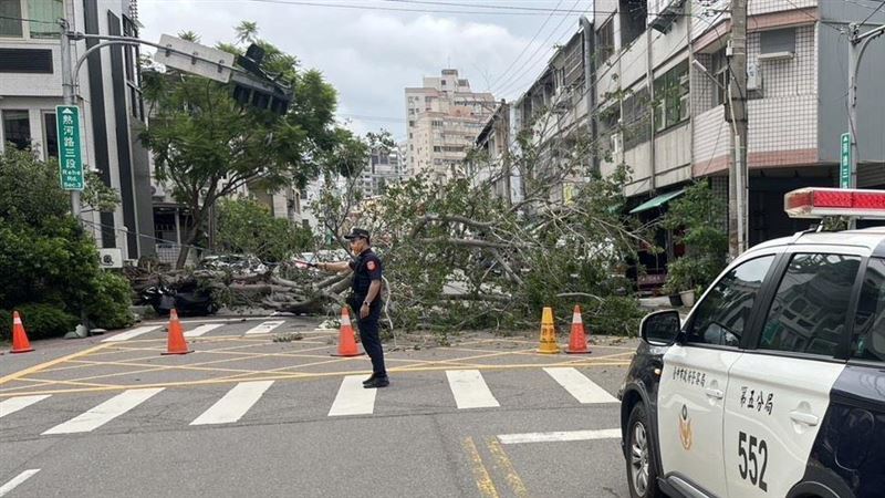台中又傳路樹倒塌！8公尺高大樹重砸3車