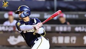 ▲中信兄弟張仁瑋。（圖／中信兄弟提供）