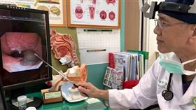 南投一名男子感覺喉嚨有異物，檢查夾出一條4公分水蛭。（圖／竹山秀傳醫院提供）