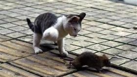 ▲（圖／翻攝自微博）