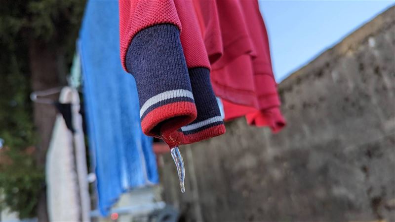 牠專偷內褲、羊毛衫　鄰居喊可愛：神偷貓