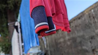 牠專偷內褲、羊毛衫　鄰居喊可愛：神偷貓