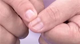 五臟,健康,指甲,腎臟,肺臟,心臟,肝臟。（圖／翻攝自醫點不誇張）