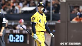 ▲中職36年例行賽，中信兄弟游擊手江坤宇遭到三振。（圖／記者劉彥池攝影）