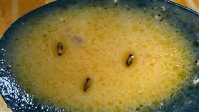 嵐迪,湯麵,蟑螂。（圖／民眾授權提供）