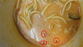 嵐迪,湯麵,蟑螂。（圖／民眾提供）