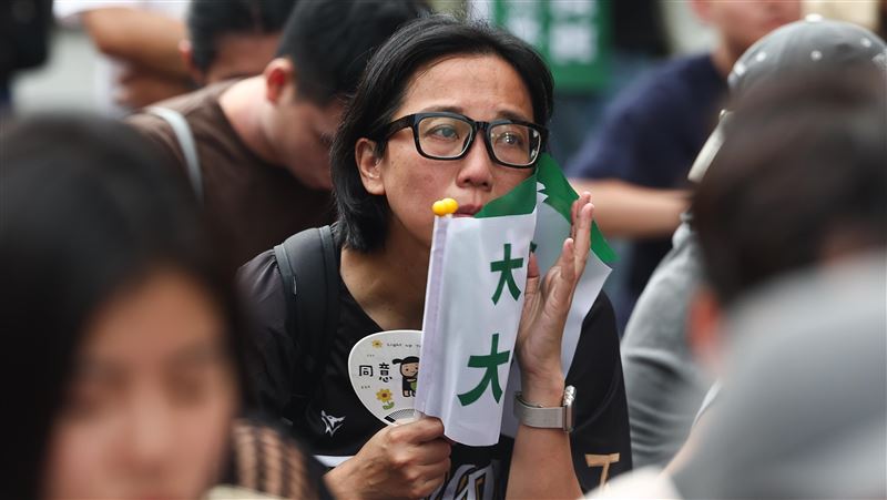 大罷免挫敗　林智群：民主就是自作自受