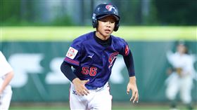 ▲台灣U12小將謝承濬。（圖／棒協提供） 