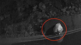 台中山區深夜「男詭蹲牆角2小時」畫面曝