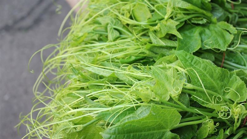 煮出快炒店級「龍鬚菜」 專家揭2招超鮮脆