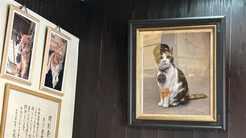 日本貓站長「小玉」永存！二代玉現況曝