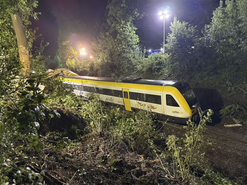 德國一列承載約100人的區域列車在一處林地發生出軌事故,造成至少3人不幸身亡。(圖/美聯社/達志影像)