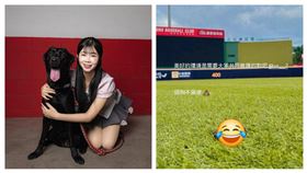 ▲味全龍上週末舉辦「龍寶貝親子日」，賽後球場內出現寵物排泄物。（圖／翻攝自味全龍小龍女臉書、圖／翻攝自徐若熙 IG、）