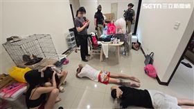 ▲竹聯幫明仁會周姓成員經營詐騙水房，北市警破門攻堅逮人。（圖／翻攝畫面）