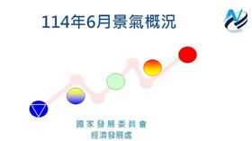 ▲景氣燈號連2月綠燈　6月主因進口車交車遞延受限！（圖／國發會提供） 