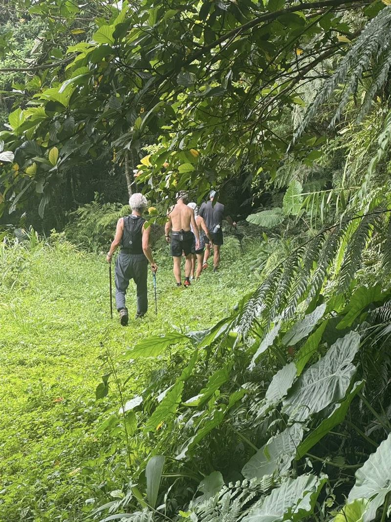 大罷免隔日清晨登山，謝金河與一票友人沿石碇山徑健走兩小時，登高望遠療癒心情，「選舉是一時的，爬山是永遠的！」謝金河分享捷兔跑步與登山體悟。（圖／翻攝謝金河臉書）