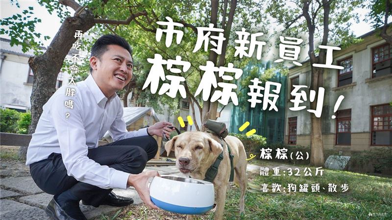 竹市犬「棕棕」遭爆被棄養　高虹安說話了