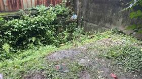 新北,新莊,箱屍,里長,塑膠袋。（圖／翻攝畫面）