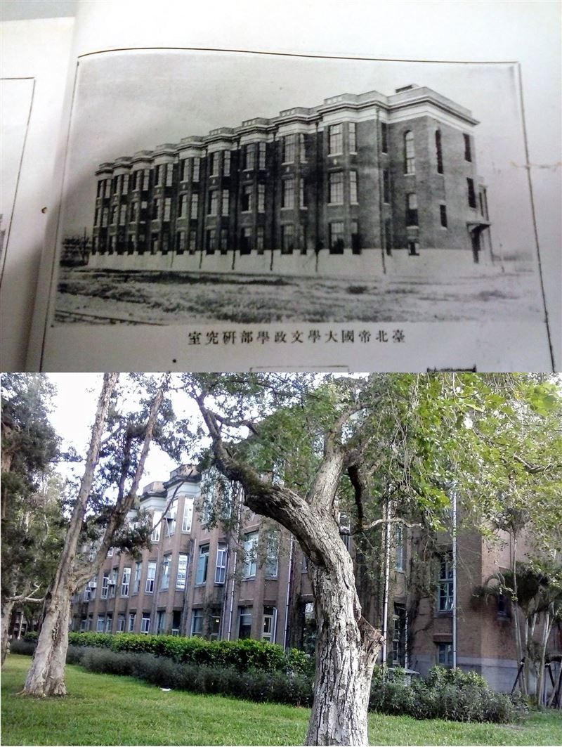 樂學館落成於1928年,是台北帝國大學(台大)創校後最早建成的建築之一。(圖/翻攝自台大博物館群 × 台大校史館臉書)