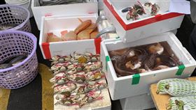 ▲抱卵母蟹8至12月禁止捕售，最高罰15萬元。（圖／中央社）