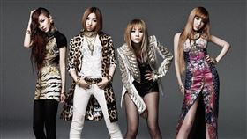 「K-POP Masterz 2025 In Taiwan」2NE1。（圖／寬寬整合提供）