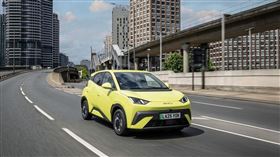 ▲比亞迪BYD海鷗電動車。（翻BYD網站）