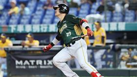 ▲台鋼雄鷹捕手張肇元，延長賽炸裂生涯首支大滿貫。（圖／台鋼雄鷹提供）