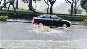 豪雨突襲！台中豐樂公園驚見「湧泉」人孔蓋離家出走　3警合力扛回